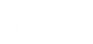 MetalManGG