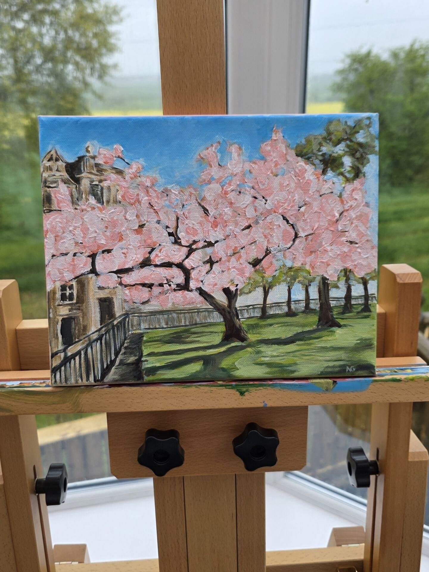 Cherry Blossom in St Andrews Square product image (1)