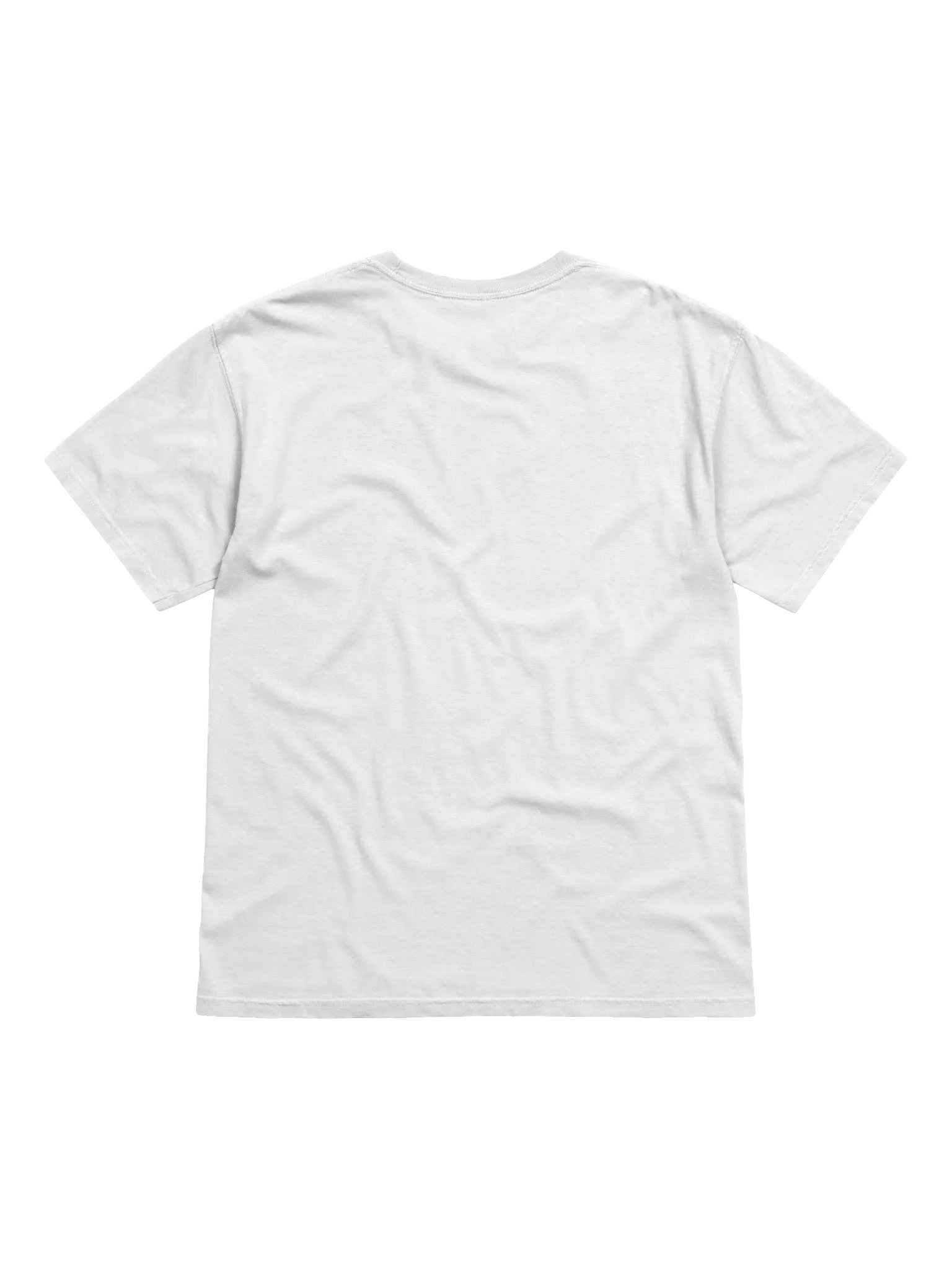 Trauma Dump Black Lettering Heavyweight Tee product image (42)