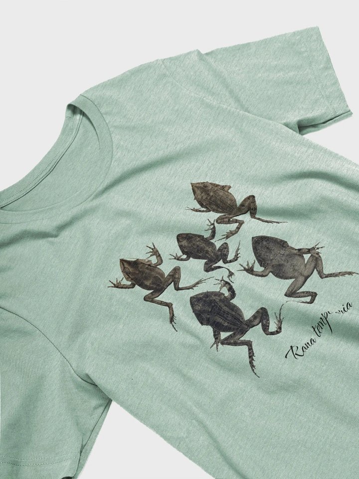 Rana Temporaria - Vintage Frog Design product image (2)