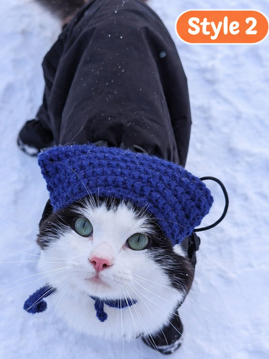 Hats for Cats product image (3)