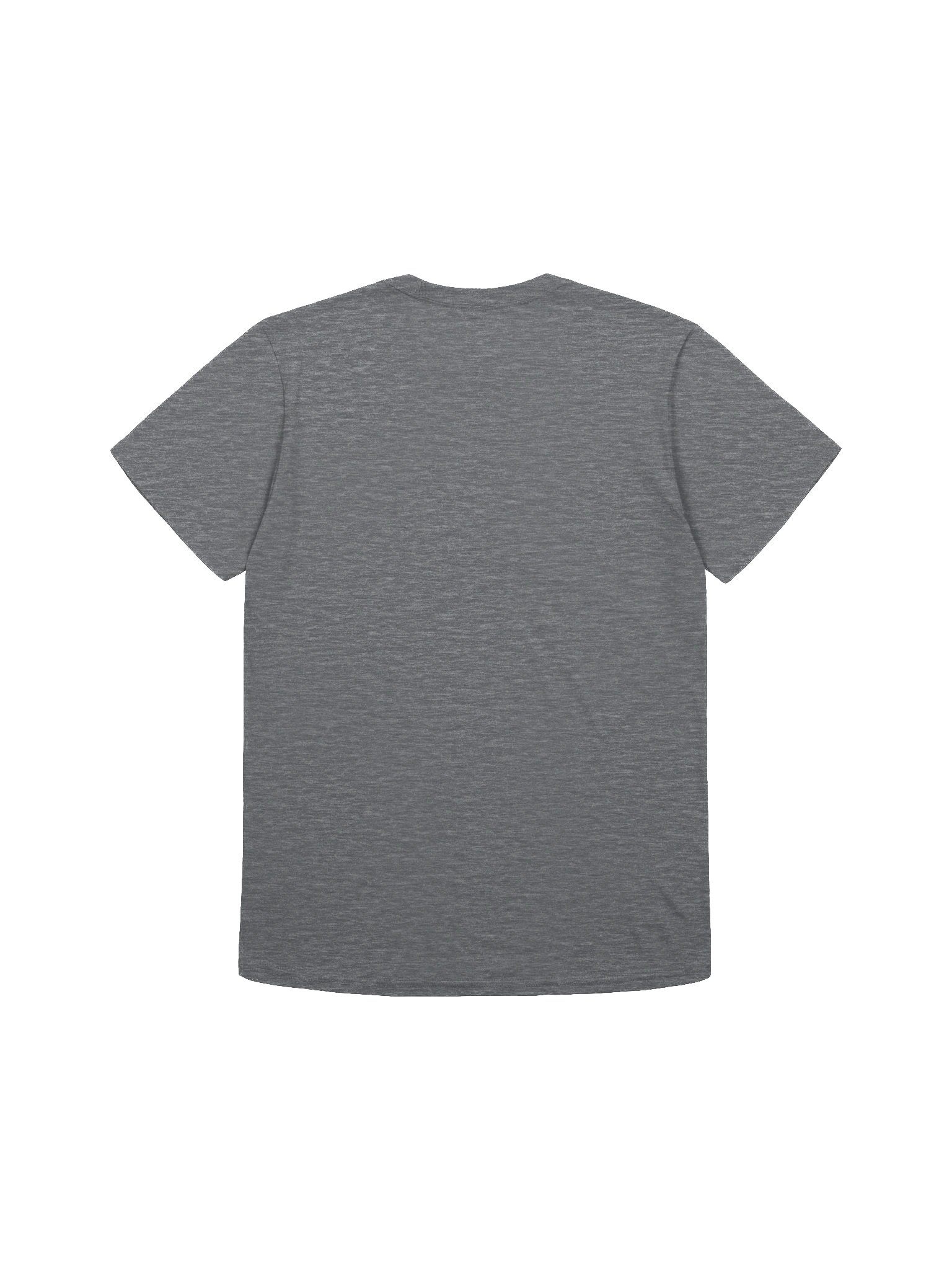 Classic Logo - Lightweight Tee product image (16)