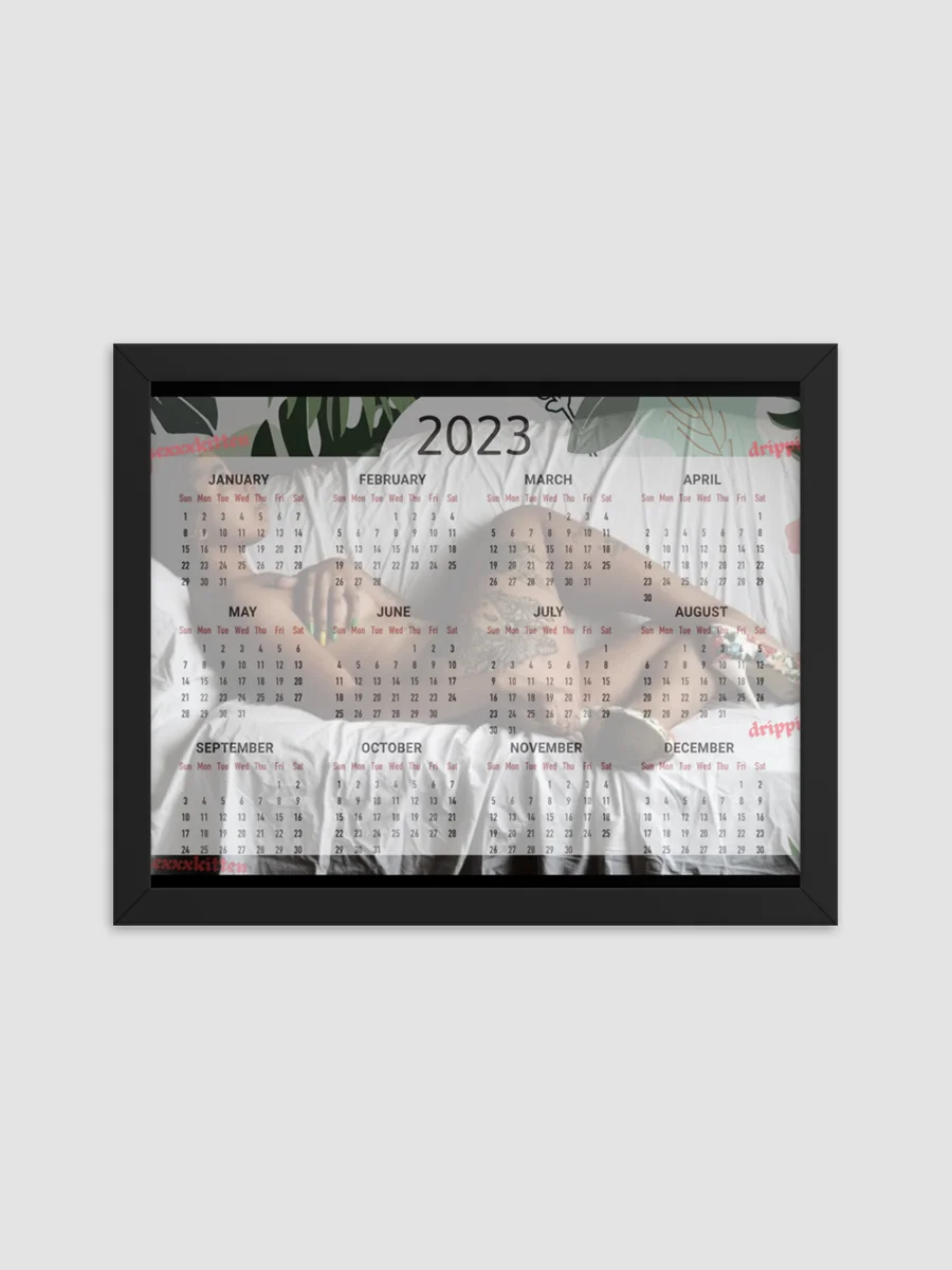 Framed High-Quality Matte Poster product image (1)