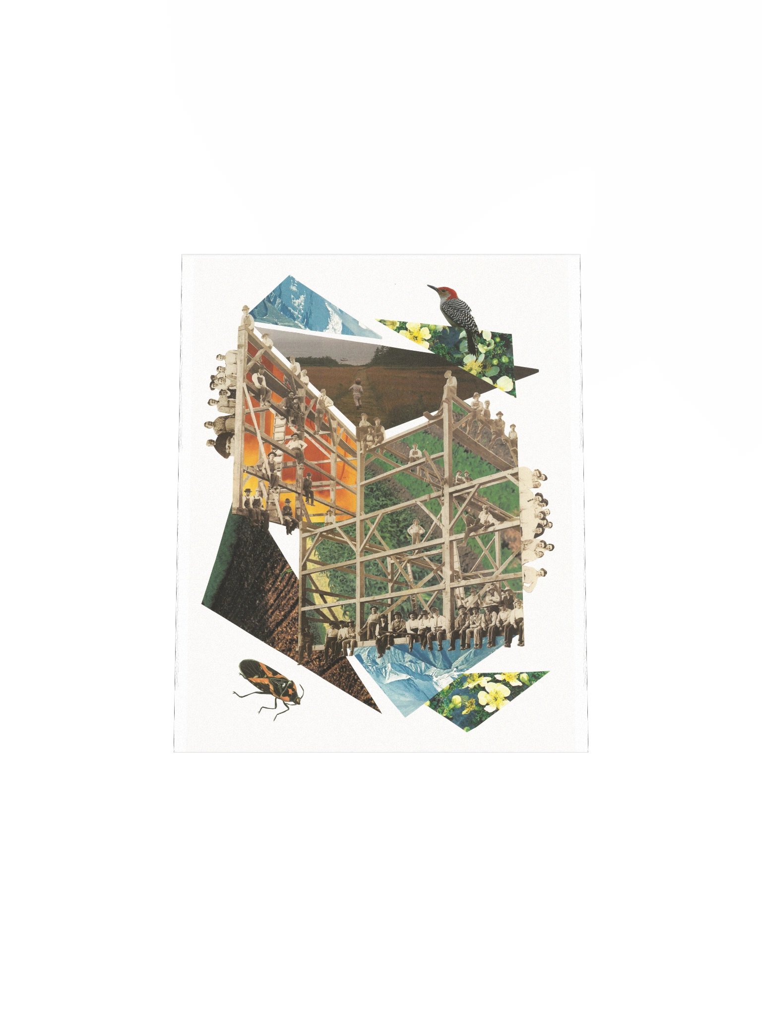 Emboldened III product image (7)