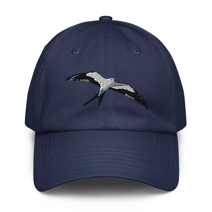 Swallow Tailed Kite Flight of Freedom Embroidered Dad Hat product image (9)
