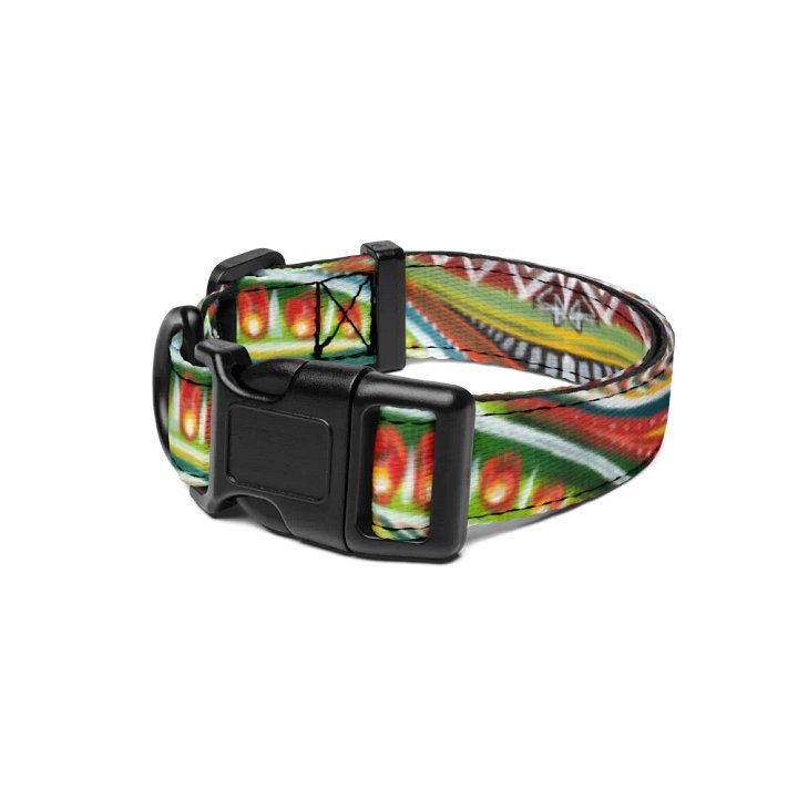 ARENA - COLLAR product image (1)