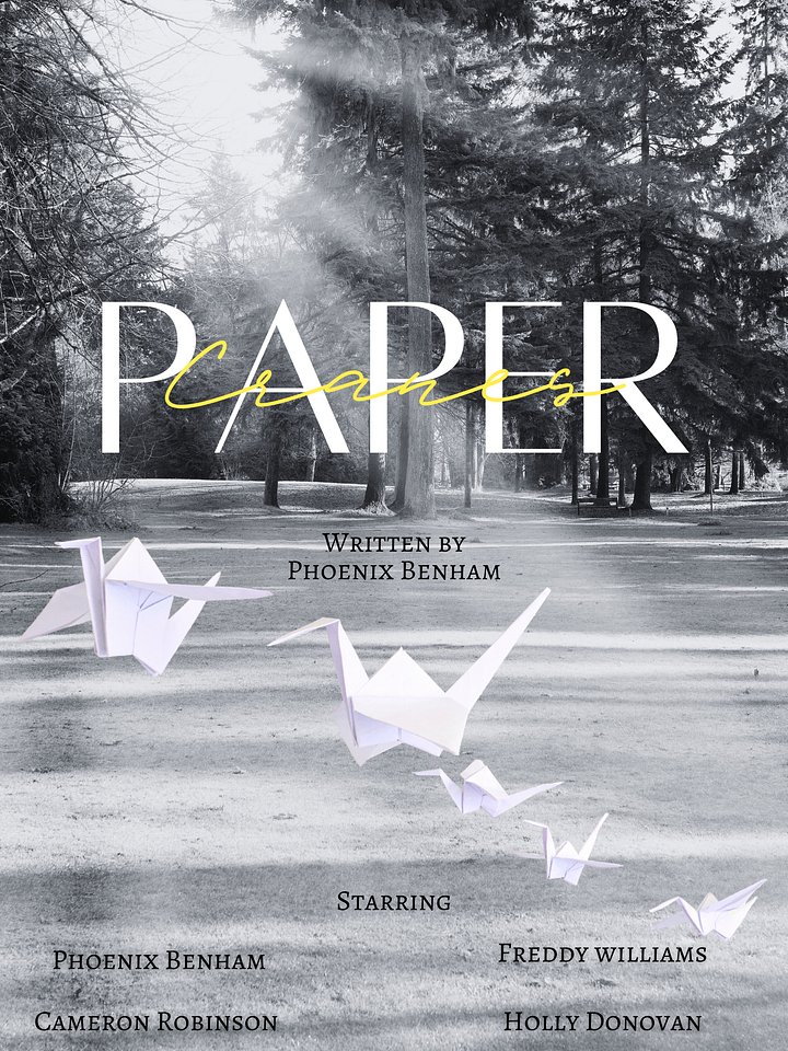 PAPER CRANES - Full Movie product image (1)