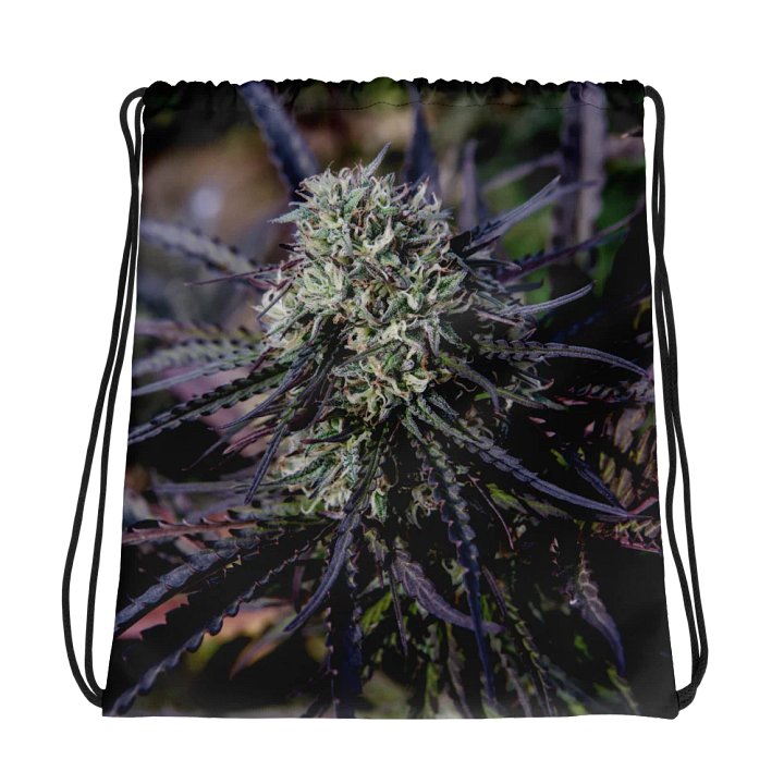 Royal Purple Cultivated Drawstring Bag product image (1)