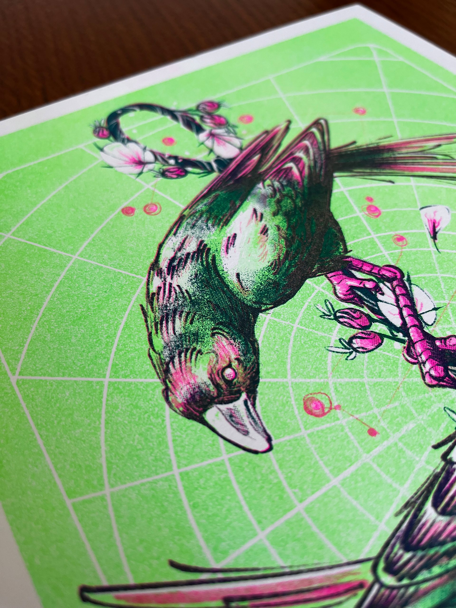 Birds product image (2)