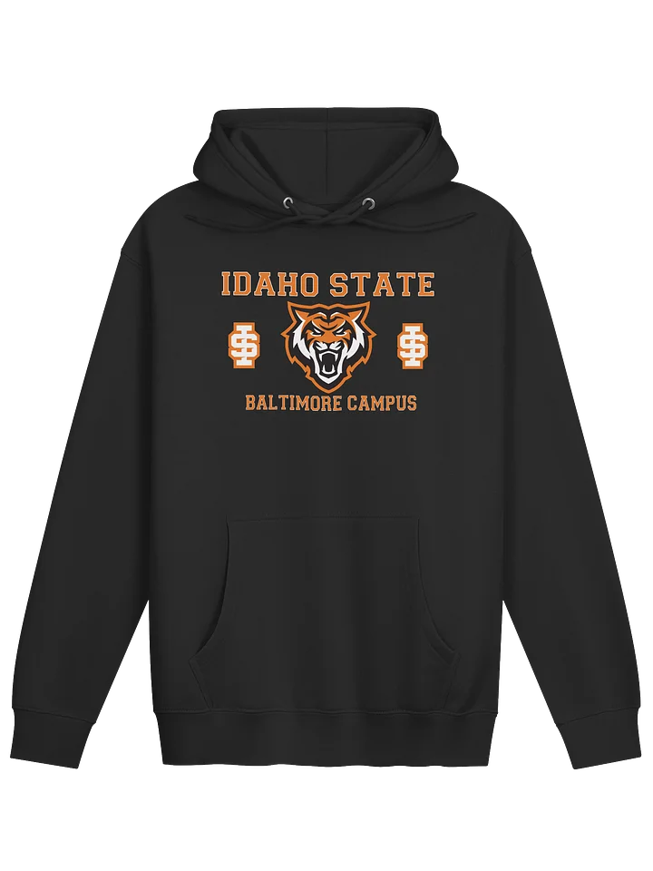 IS - Baltimore Hoodie product image (1)