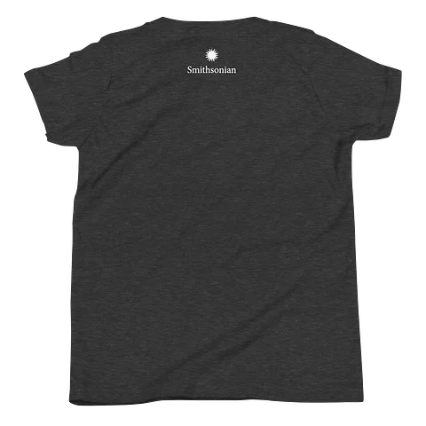 National Air and Space Museum Tee (Youth) product image (2)