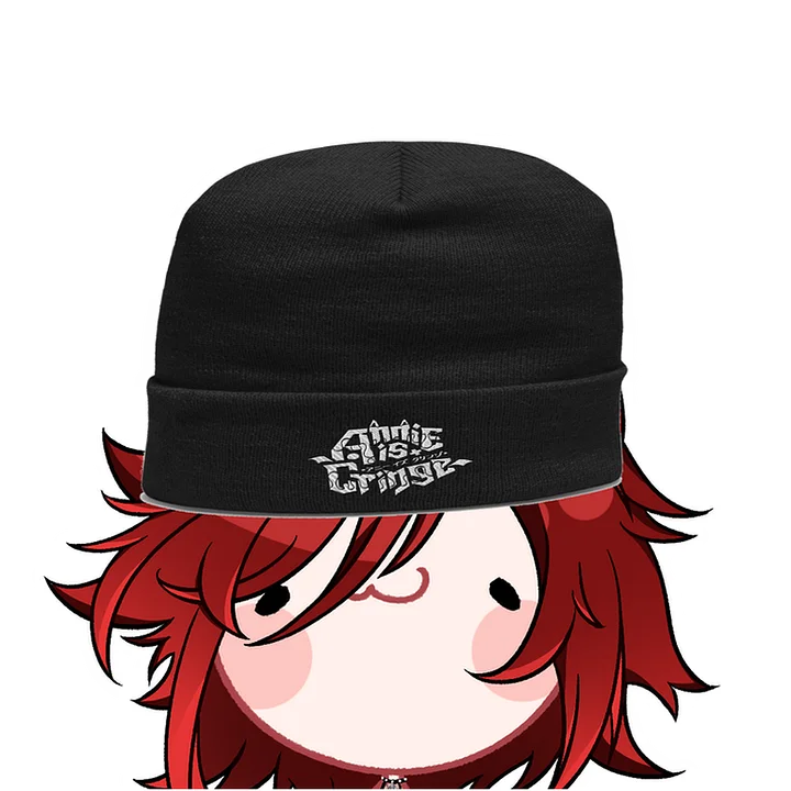 Embroidered Logo Beanie product image (1)