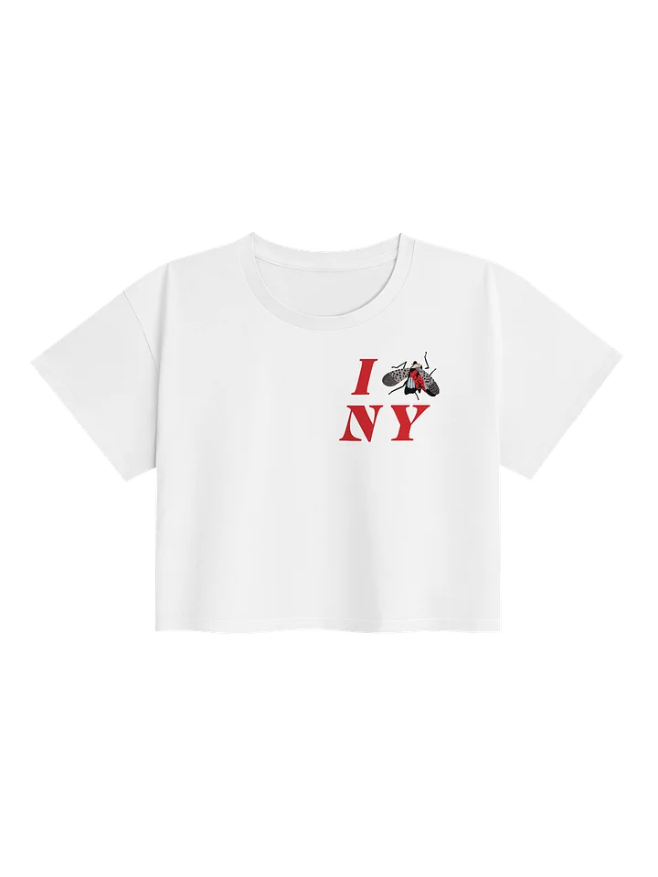 Cropped product image (1)
