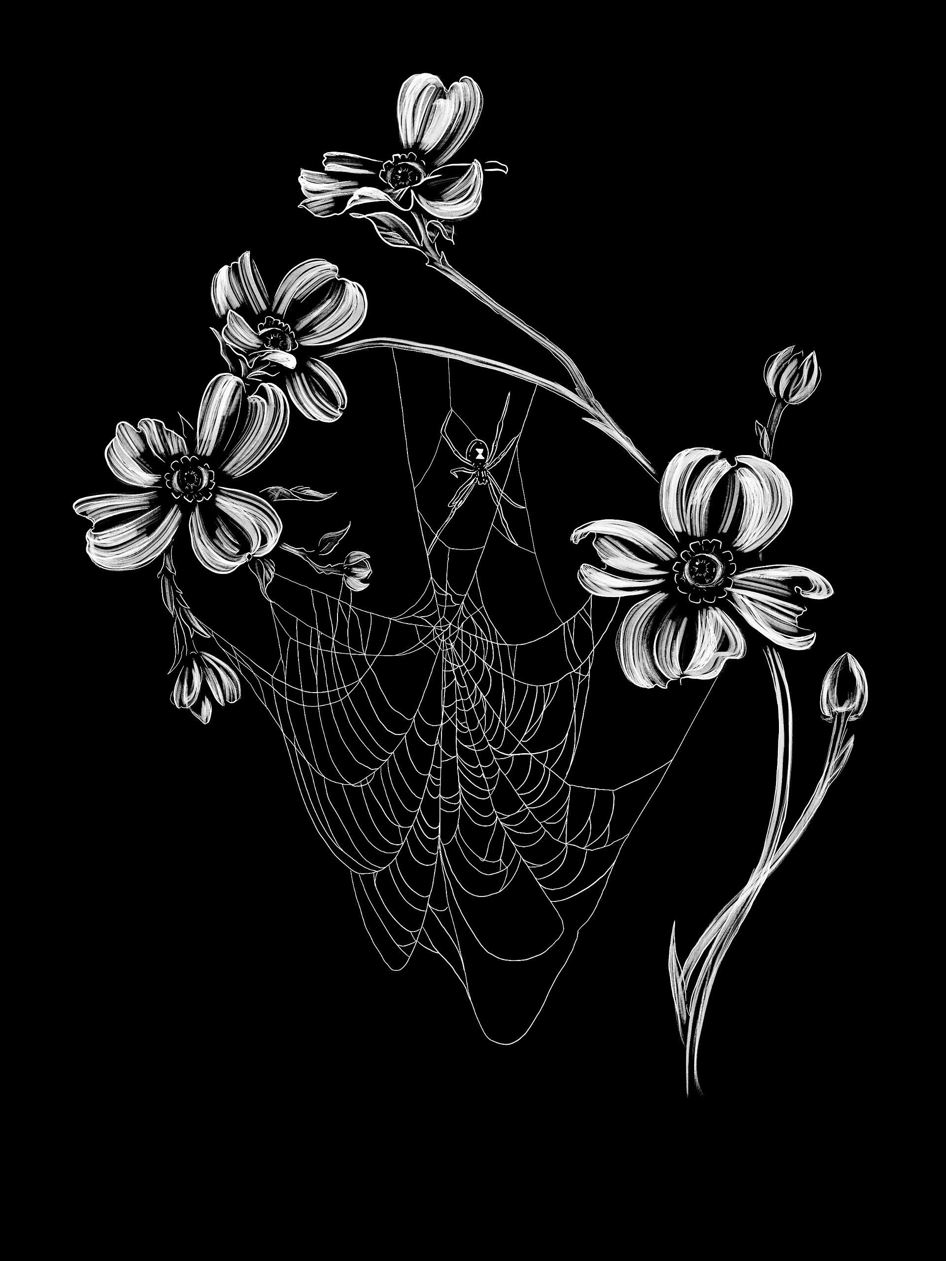 Dogwood product image (2)