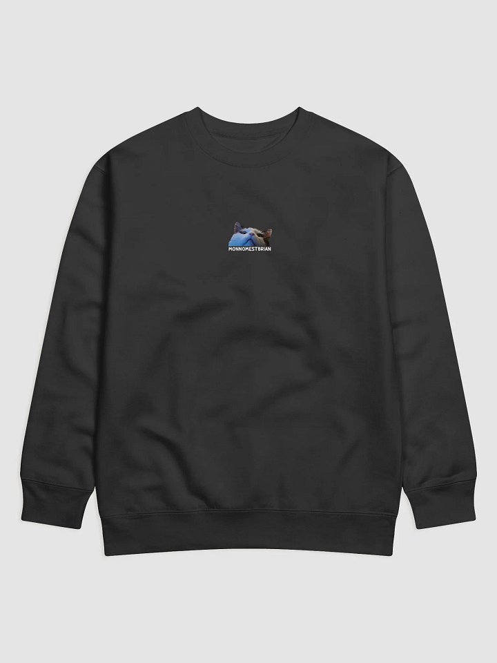 SHIRT - MONNOMESTBRIAN - UNISEX product image (1)