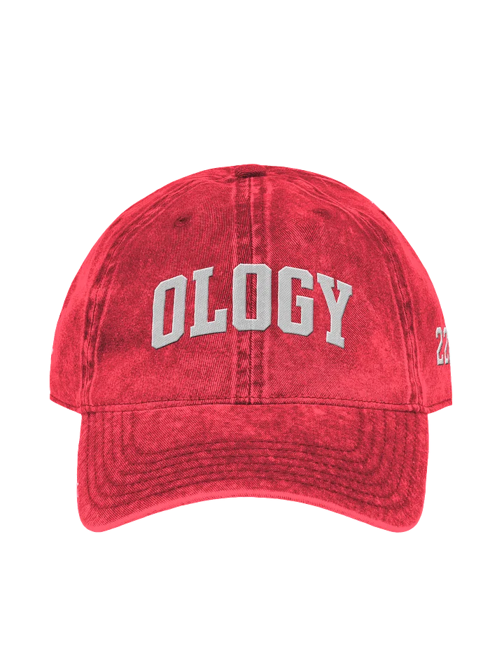 222 Trust The Signs Cap Red product image (2)
