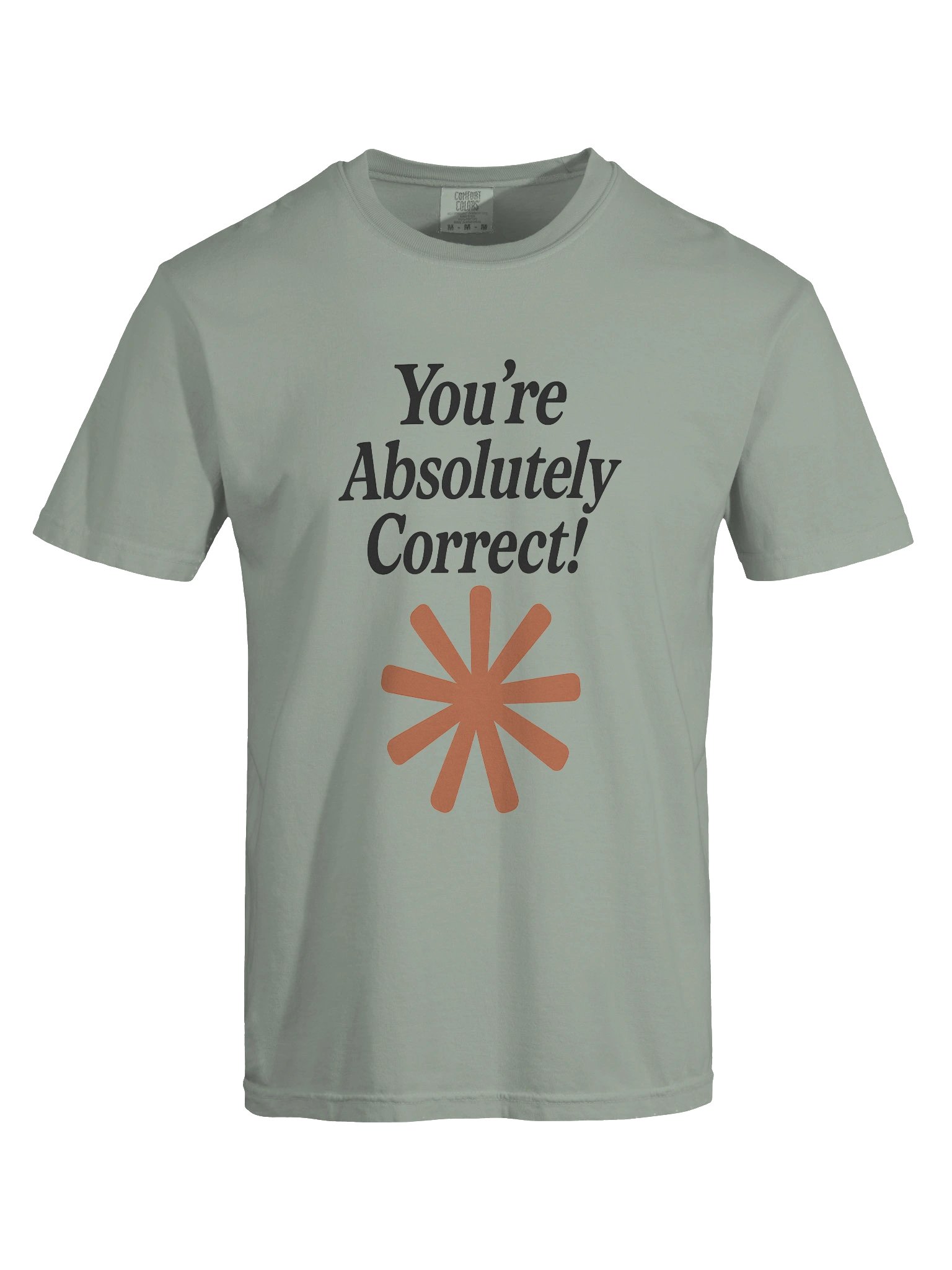 “You’re Absolutely Correct!” - AI Inside-Joke Unisex Tee | Dev & Data Nerd Gift product image (4)