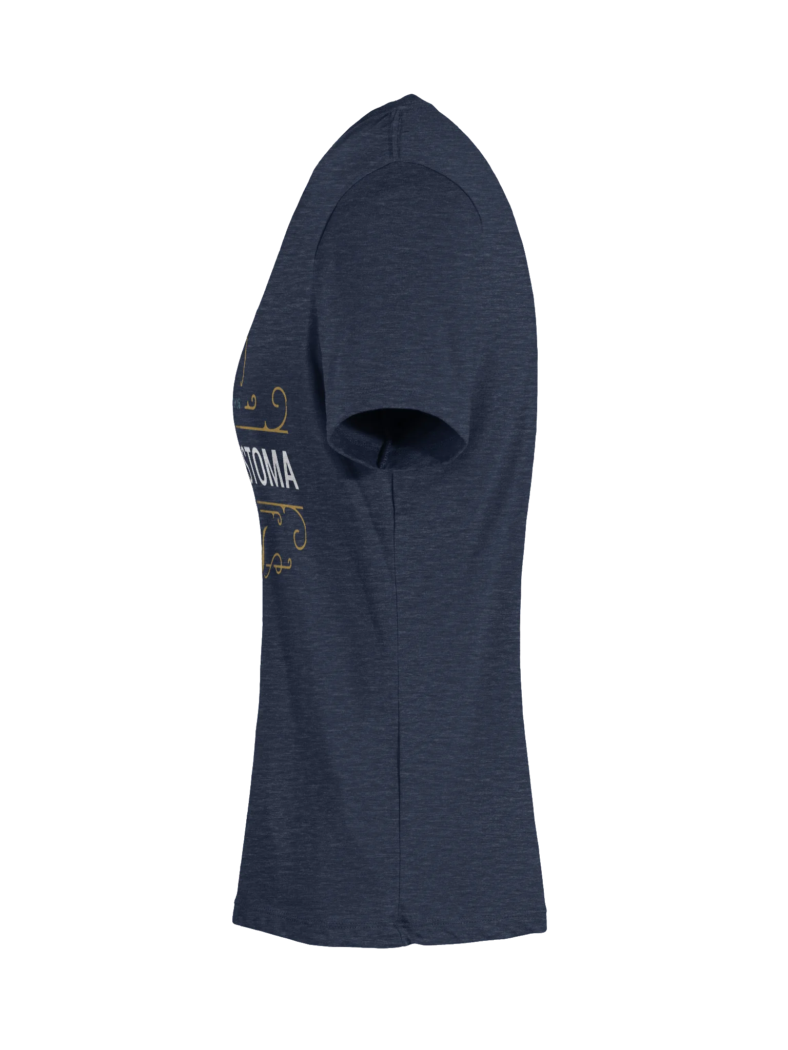 One Rb World 2026 Longhorn Design - Women's V-Neck Shirt product image (10)