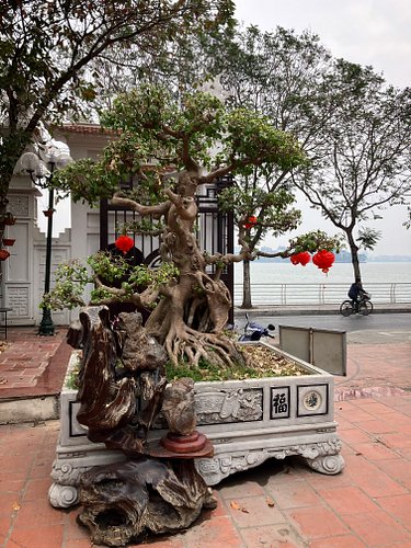 🇻🇳 [9.Jan.2025]