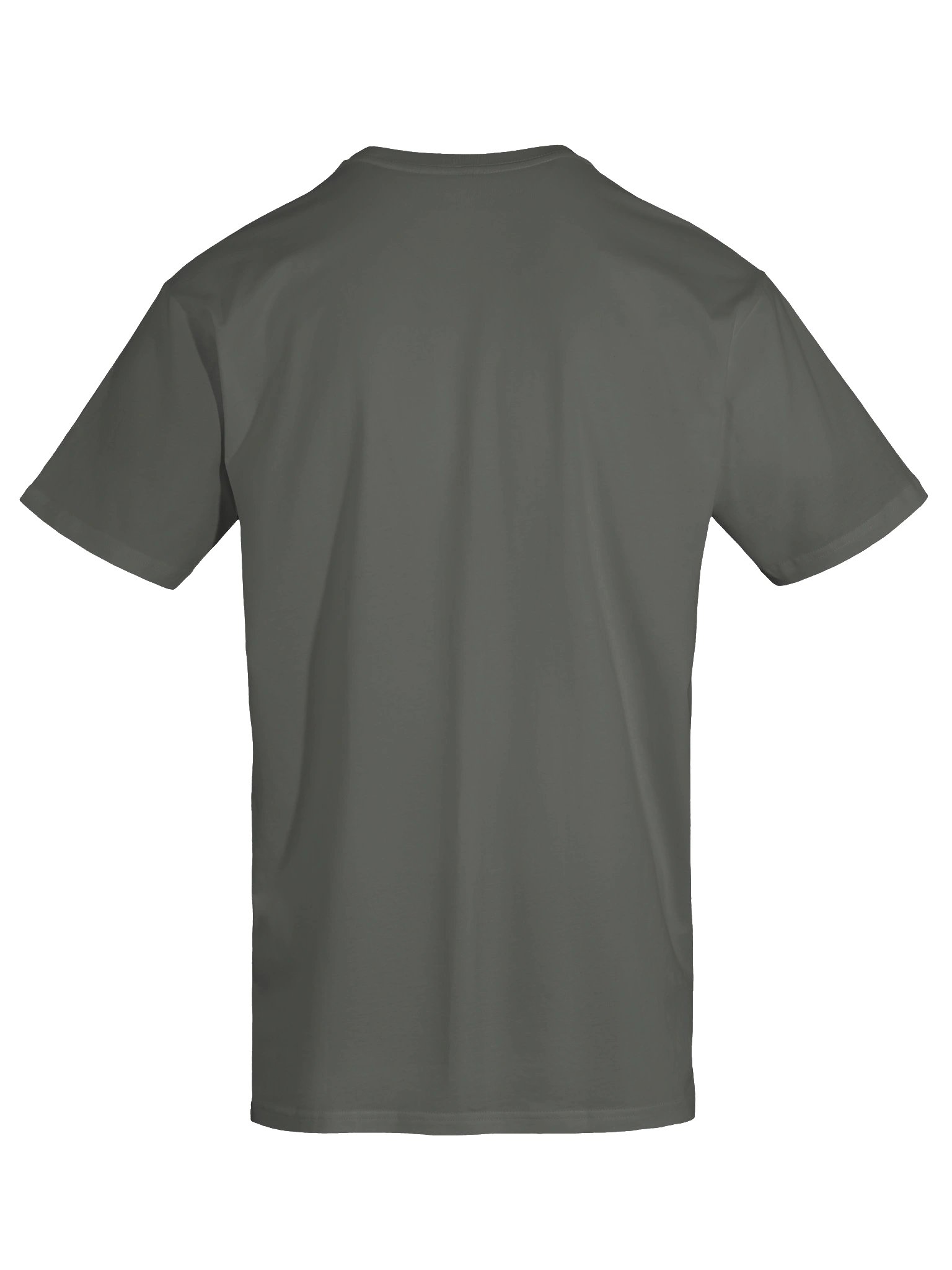AS Colour Unisex Premium T-Shirt product image (20)