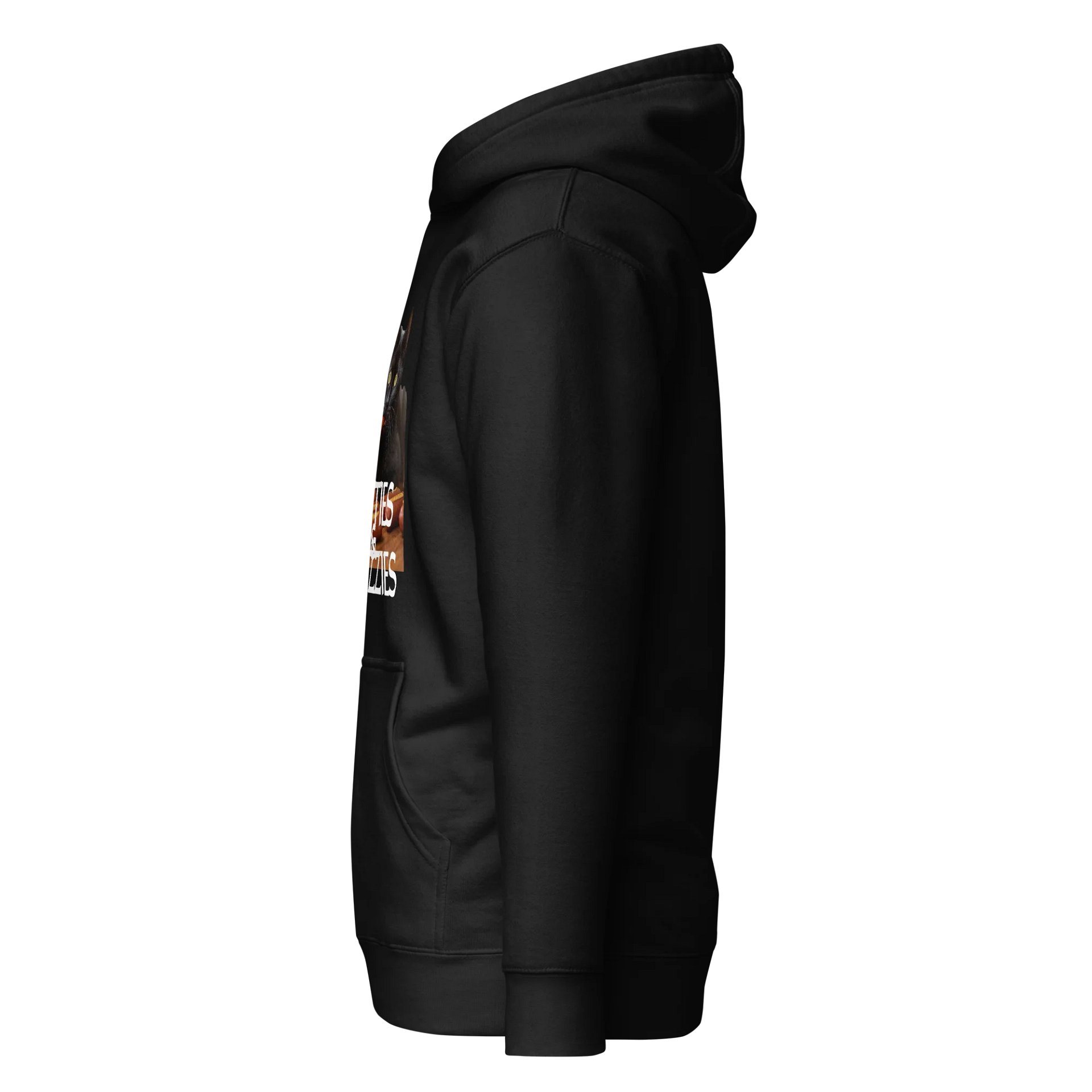 KITTIES&GLIZZIES HOODIE product image (13)
