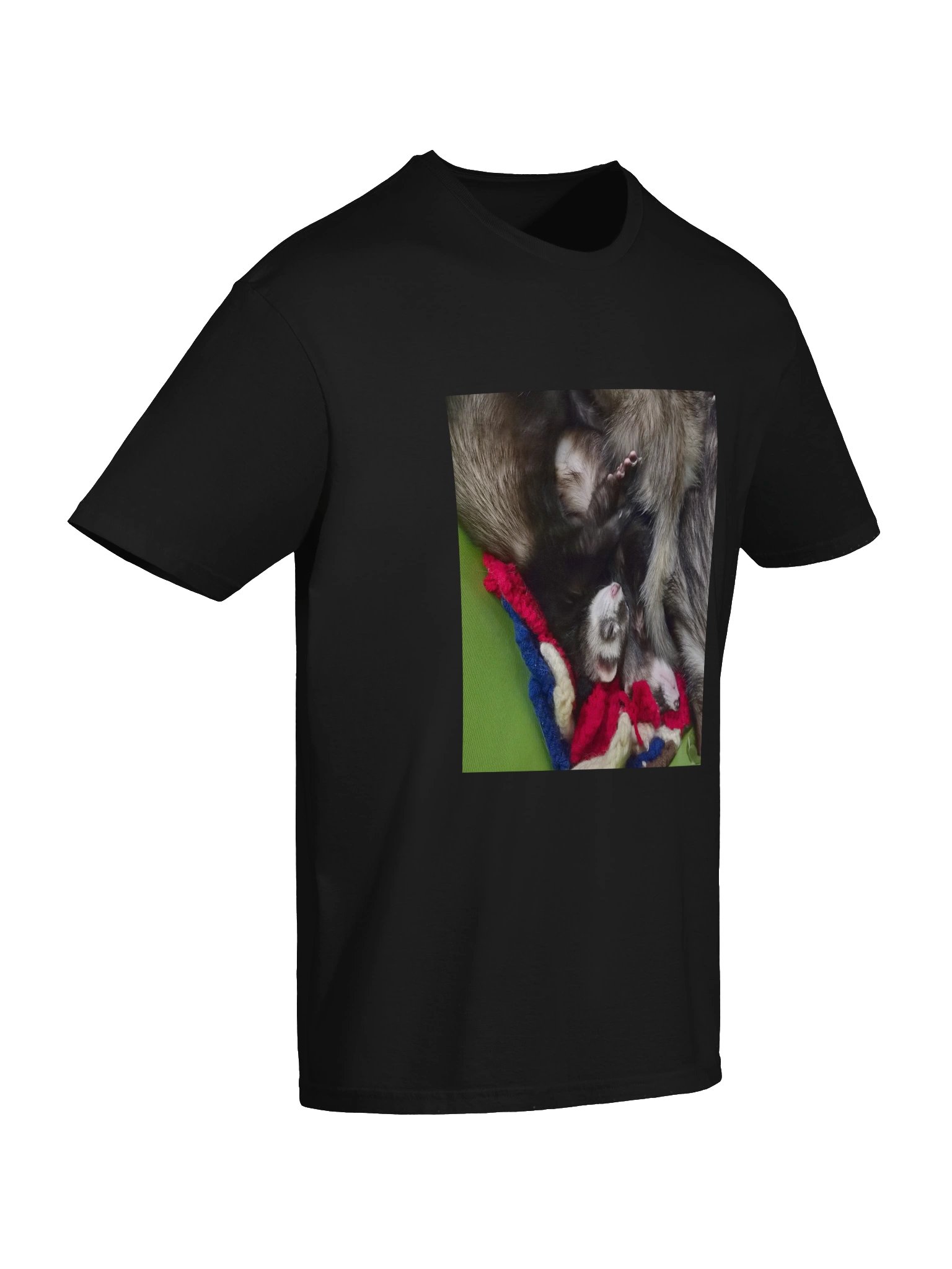 Sleepy Ferrets product image (146)