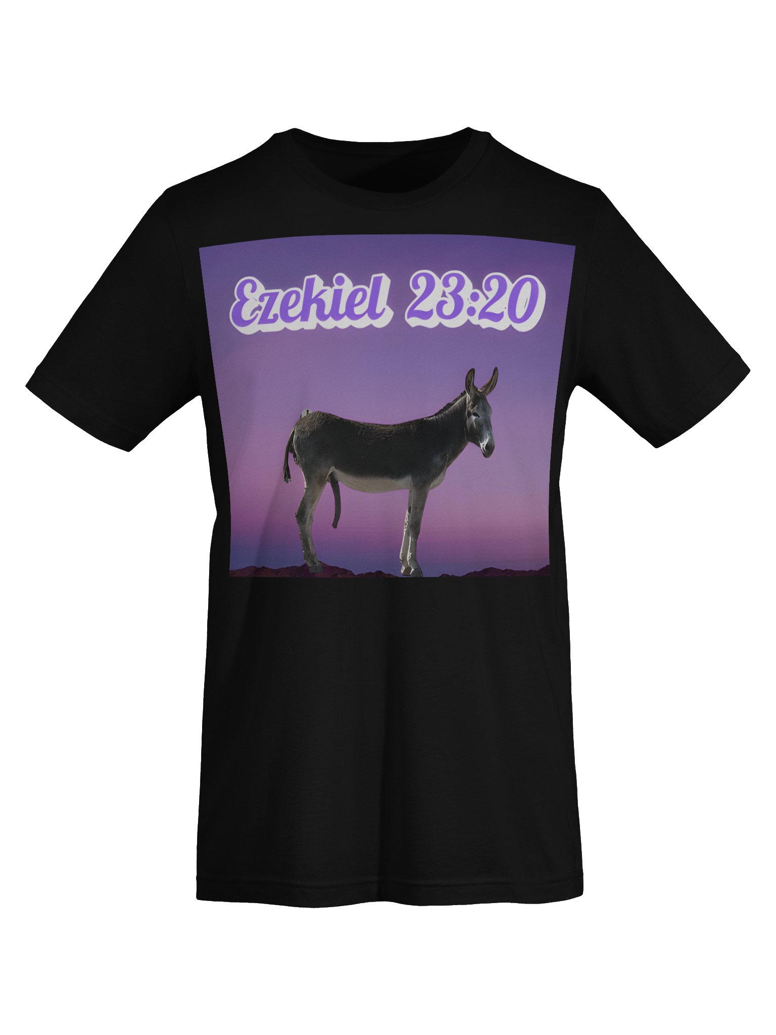 Ezekiel 23:20 Tee Shirt product image (7)