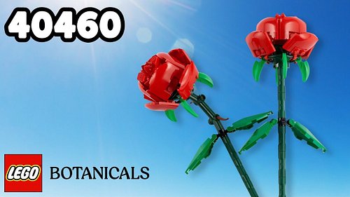 LEGO Botanicals 40460 Roses (Unboxing & Review)

Today on DailyWeeklyBuilds, it’s time for another Flower Friday with Aspen! ...