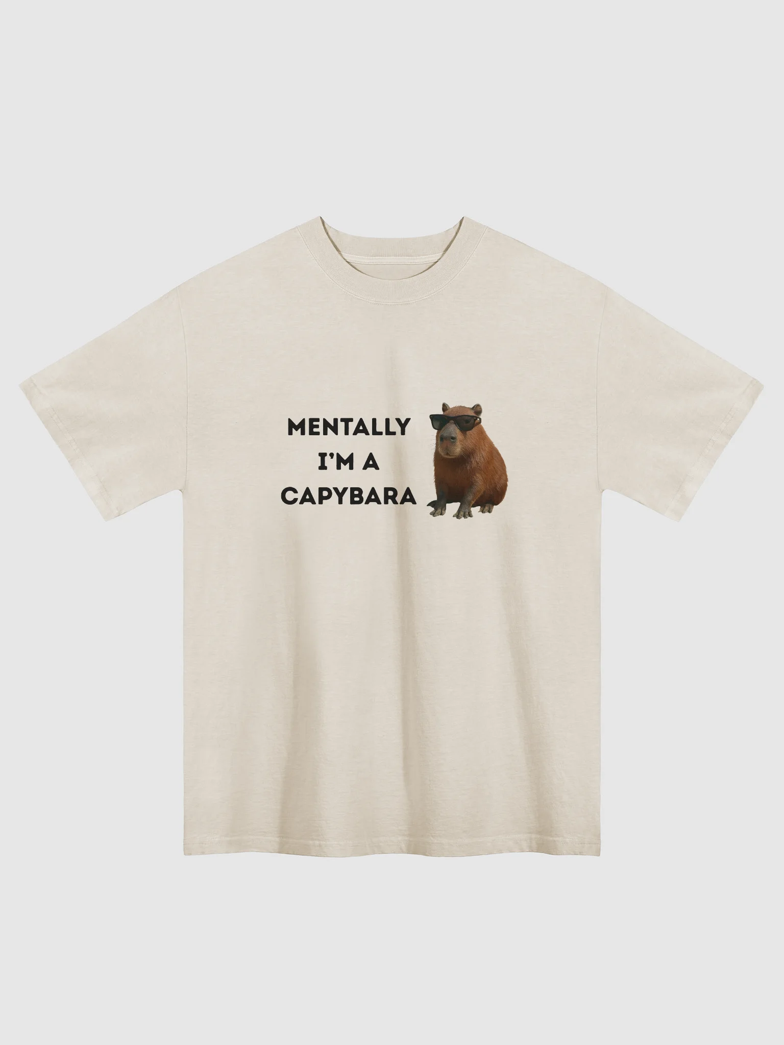 Lazy Days Capybara Graphic T-shirt product image (1)