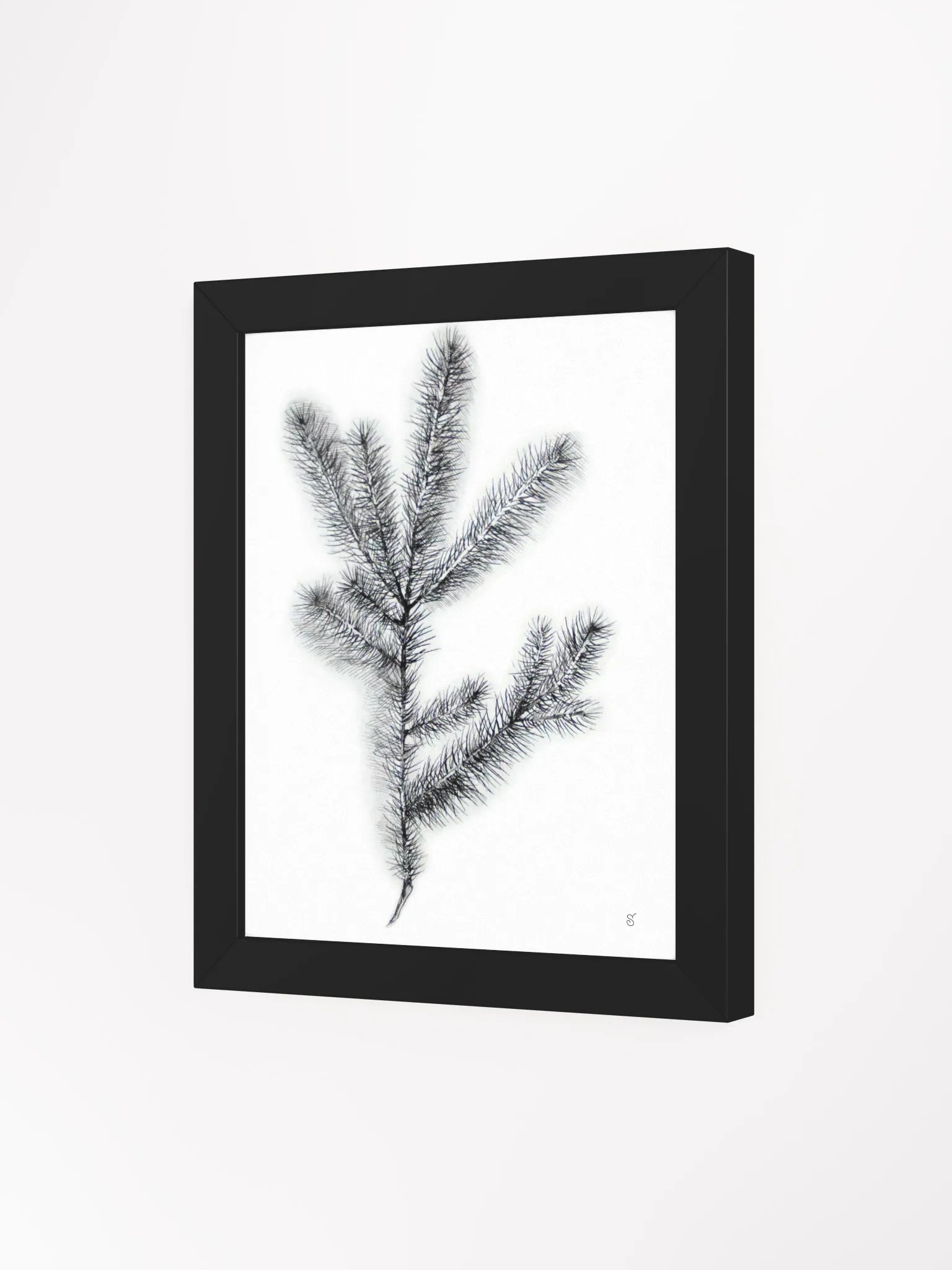 Botanical Bliss Framed Matte Poster - Spruce Branch product image (8)