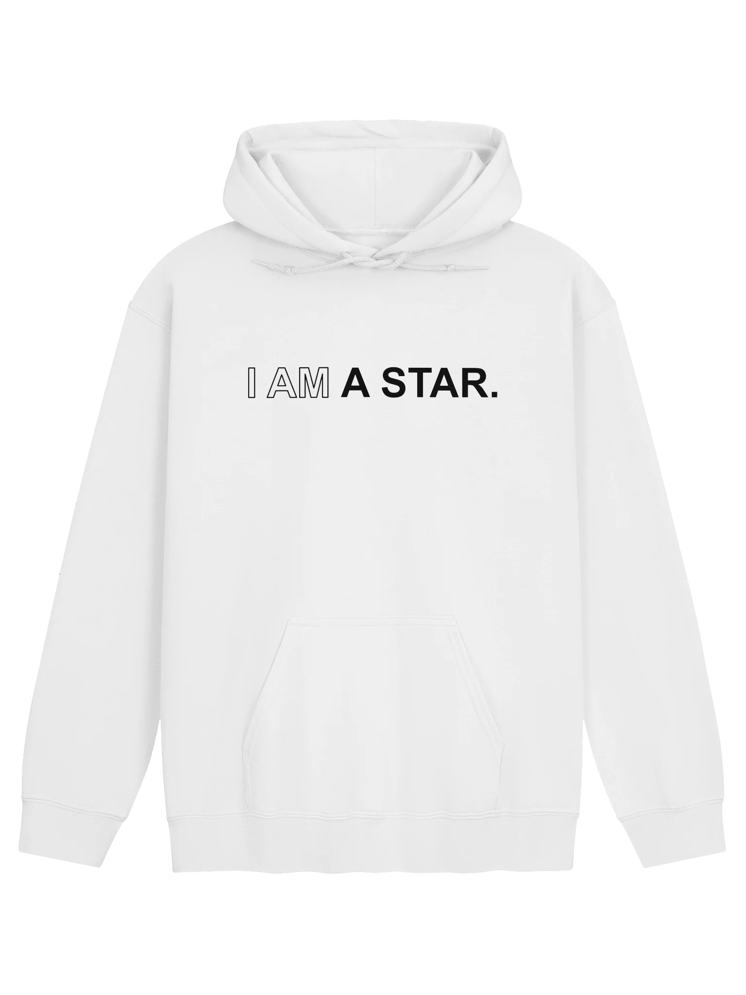 Ten Year Anniversary Gilden Hoodie product image (1)
