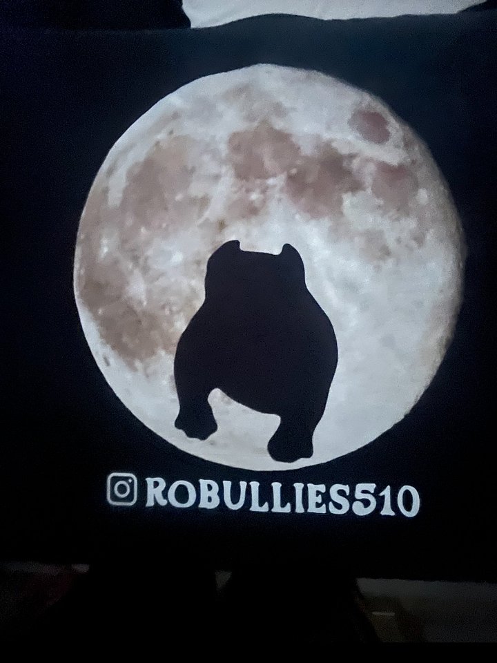 ORIGINAL BULLIES TEE (PYRO) product image (1)