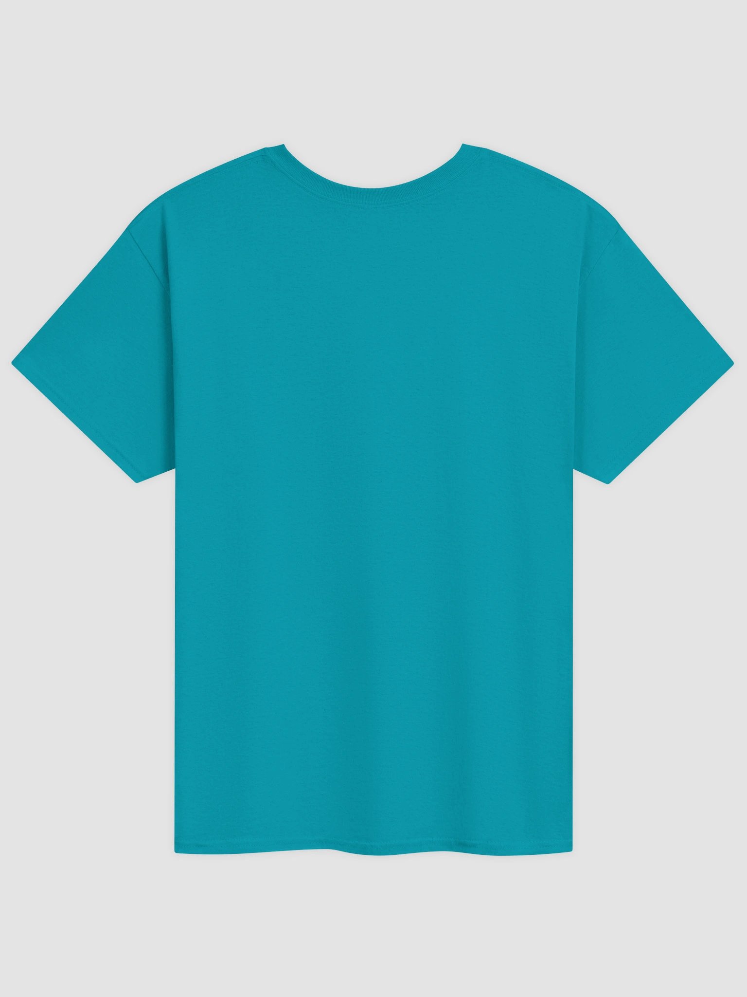 All I want are snuggles but all I get are struggles raccoon T-shirt product image (2)