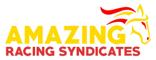 Amazing Racing Syndicates