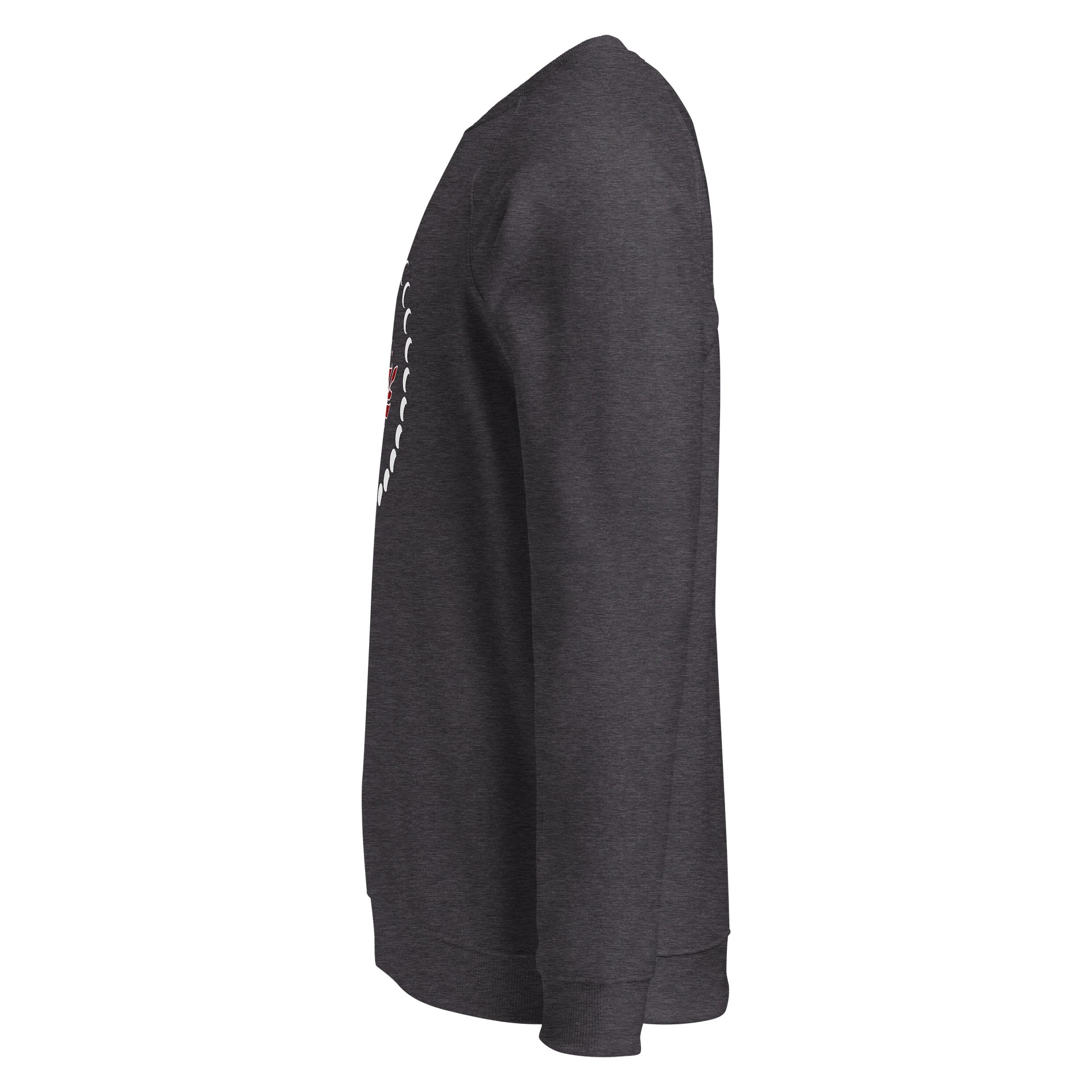 Organic Cotton Sweatshirt Mystic Moon Blooming Rose product image (11)