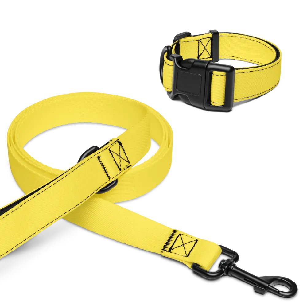 Sunrise Glow Pet Collar & Leash Set product image (16)