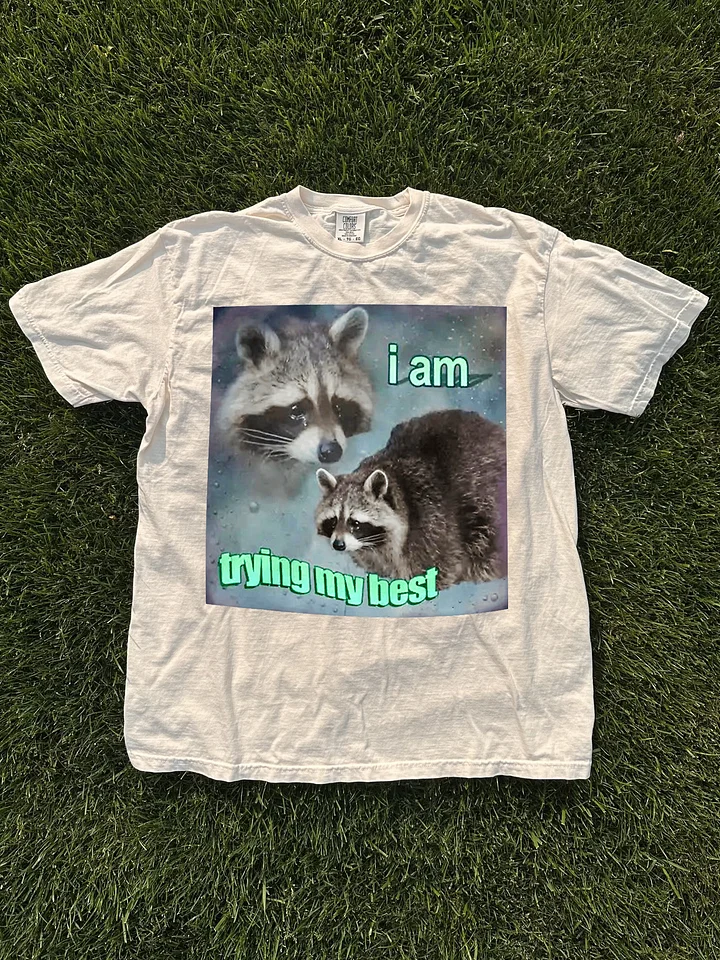 I Am Trying My Best Shirt product image (1)