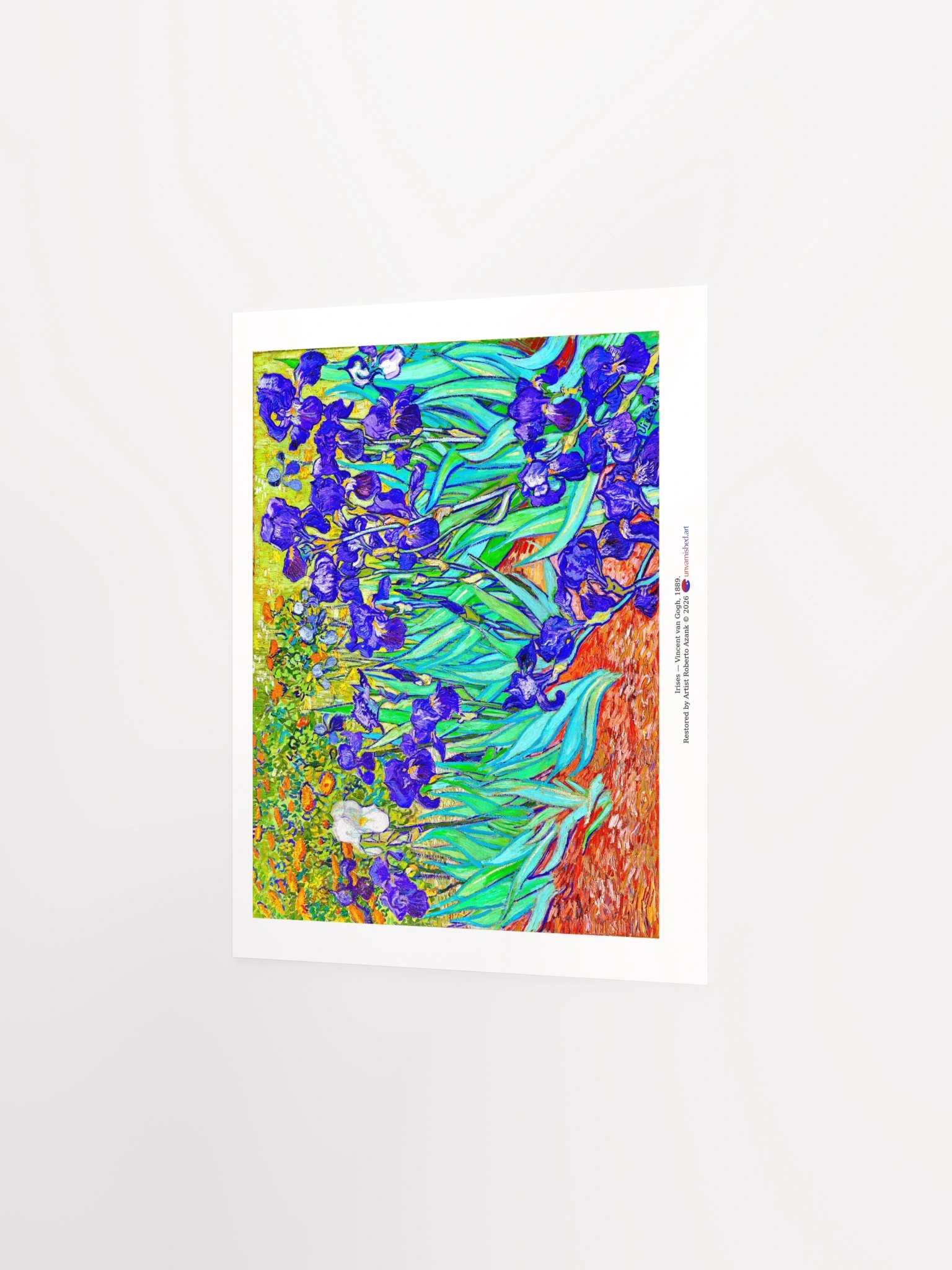 Irises — Poster product image (26)