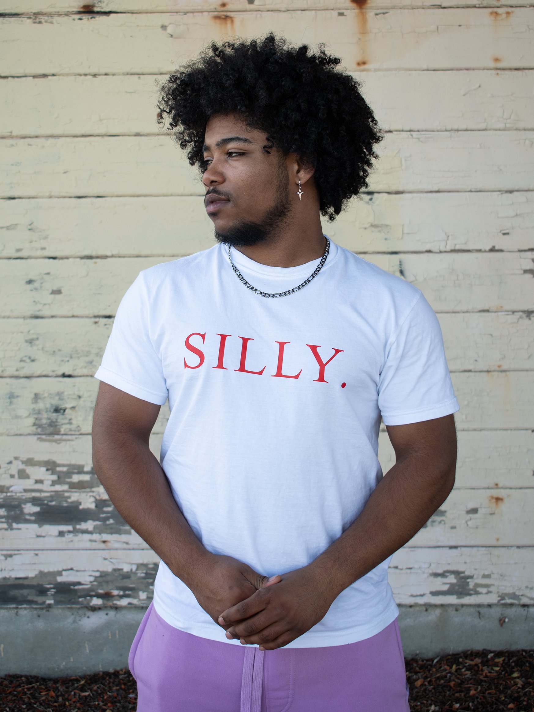 The Silly Shirt product image (33)