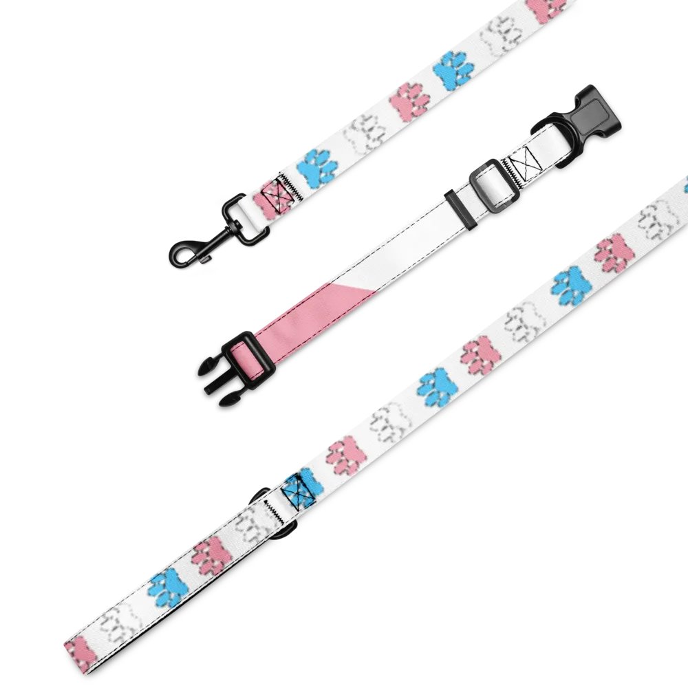 Trans Pride Collar and Leash product image (1)