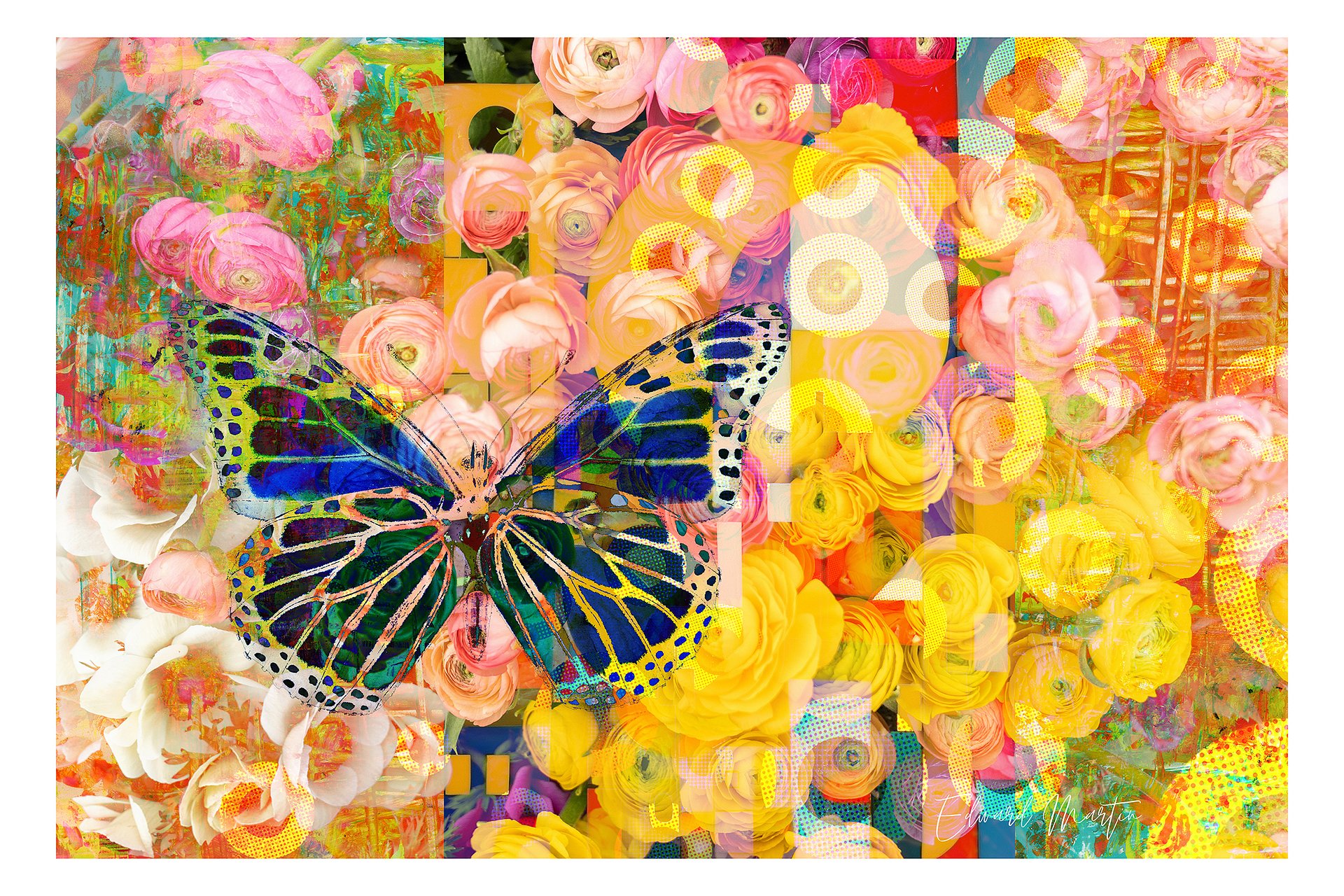 Chasing Butterflies product image (1)
