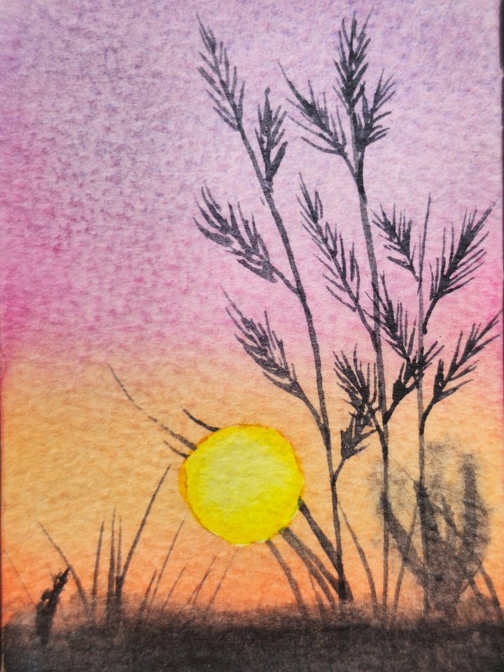 ACEO - Original - Sunset Wheat product image (1)