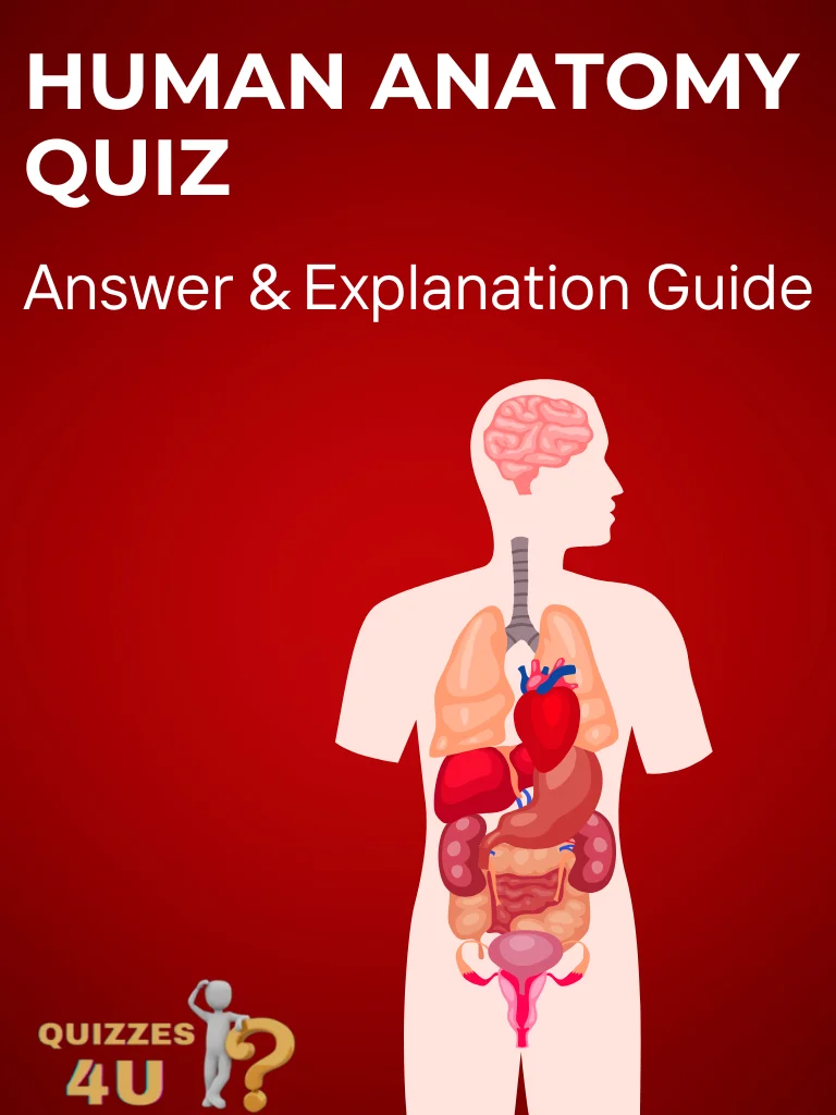 Complete Human Anatomy Quiz - Answer & Explanation Guide product image (1)