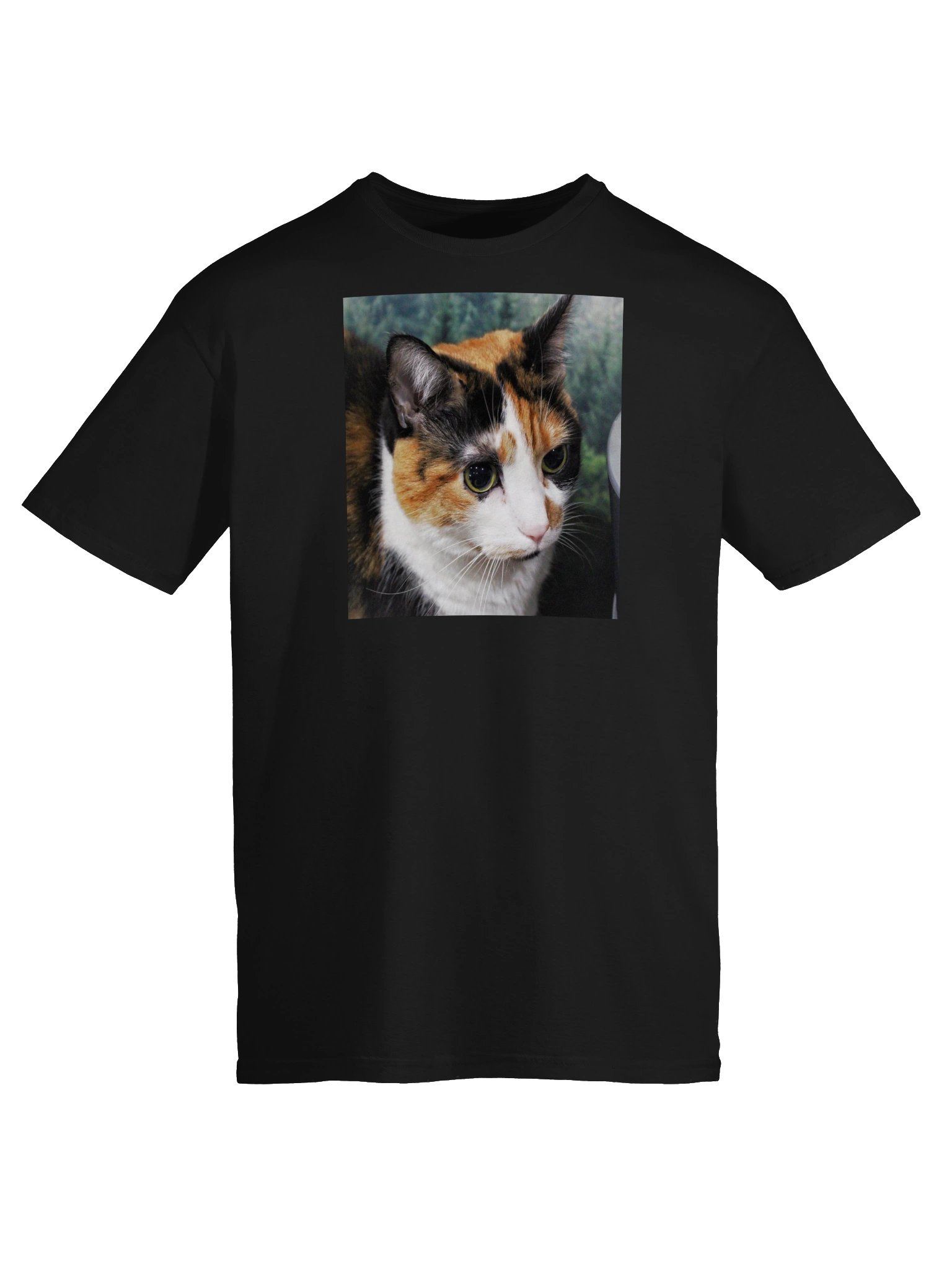 Captain Noodle Shirt product image (5)