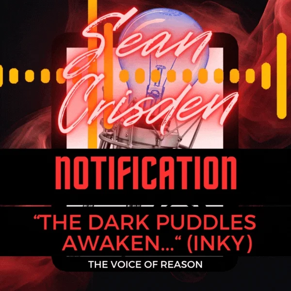 Audio Notification - 