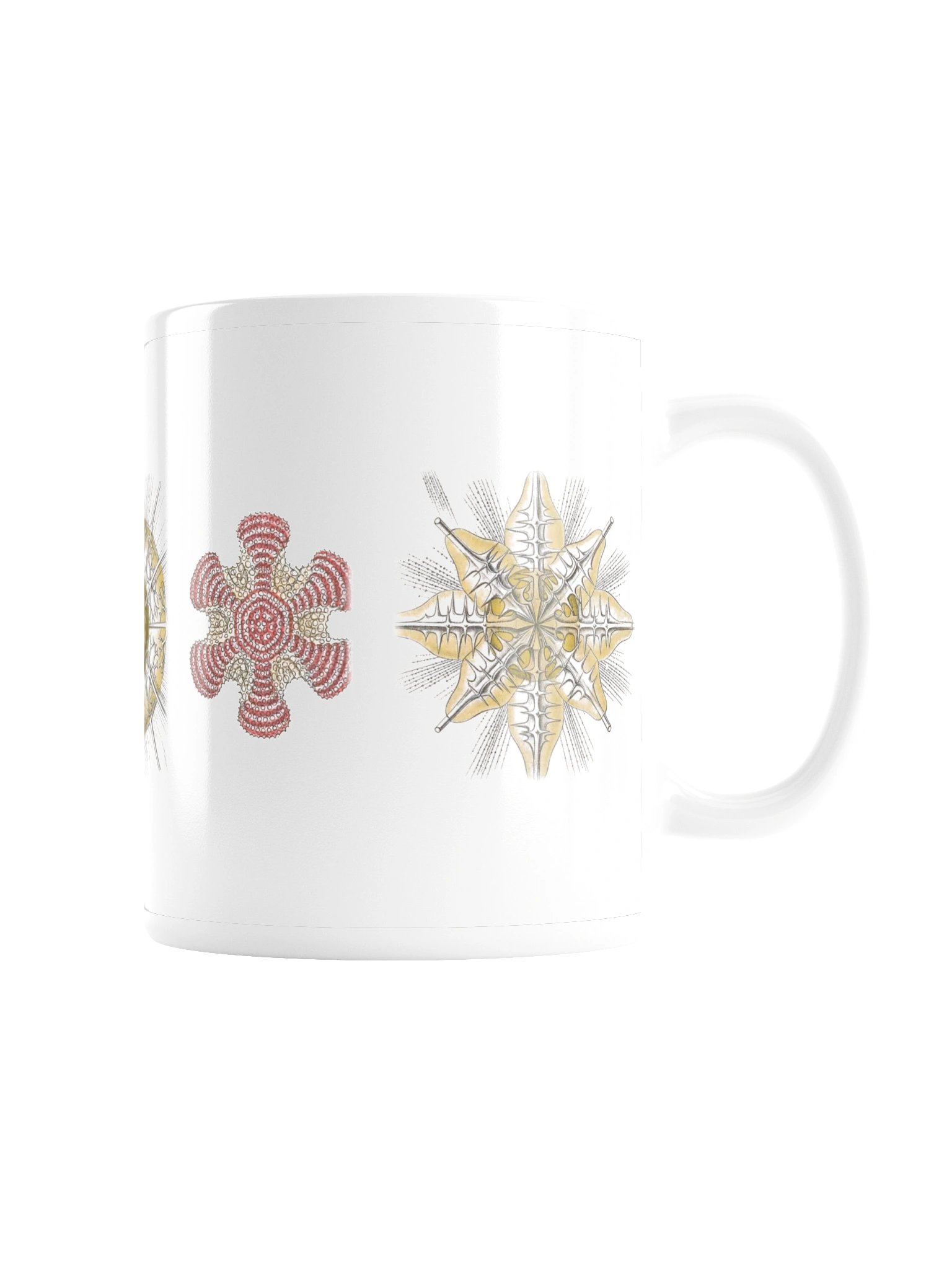 Radiolarians – Haeckel Mug product image (3)