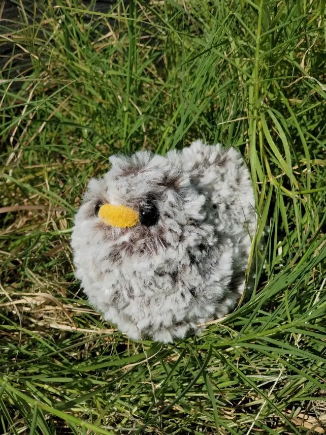Fluffy Chicken product image (1)