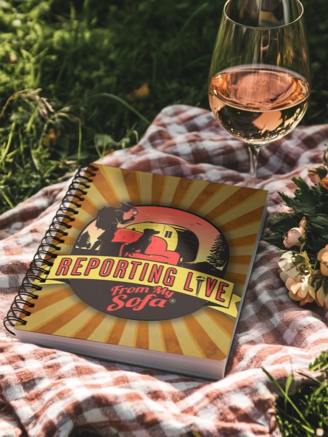 Reporting Live From My Sofa Spiral Notebook product image (8)