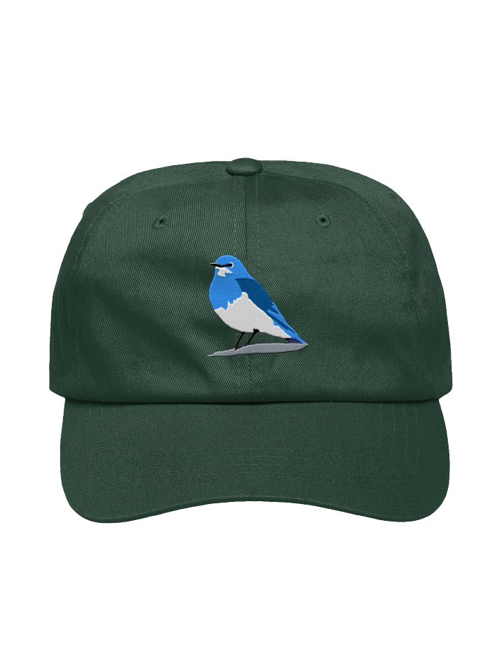 Eastern Bluebird Embroidered Hat | Bird Lover Dad Cap | Birdwatching Cap | product image (9)