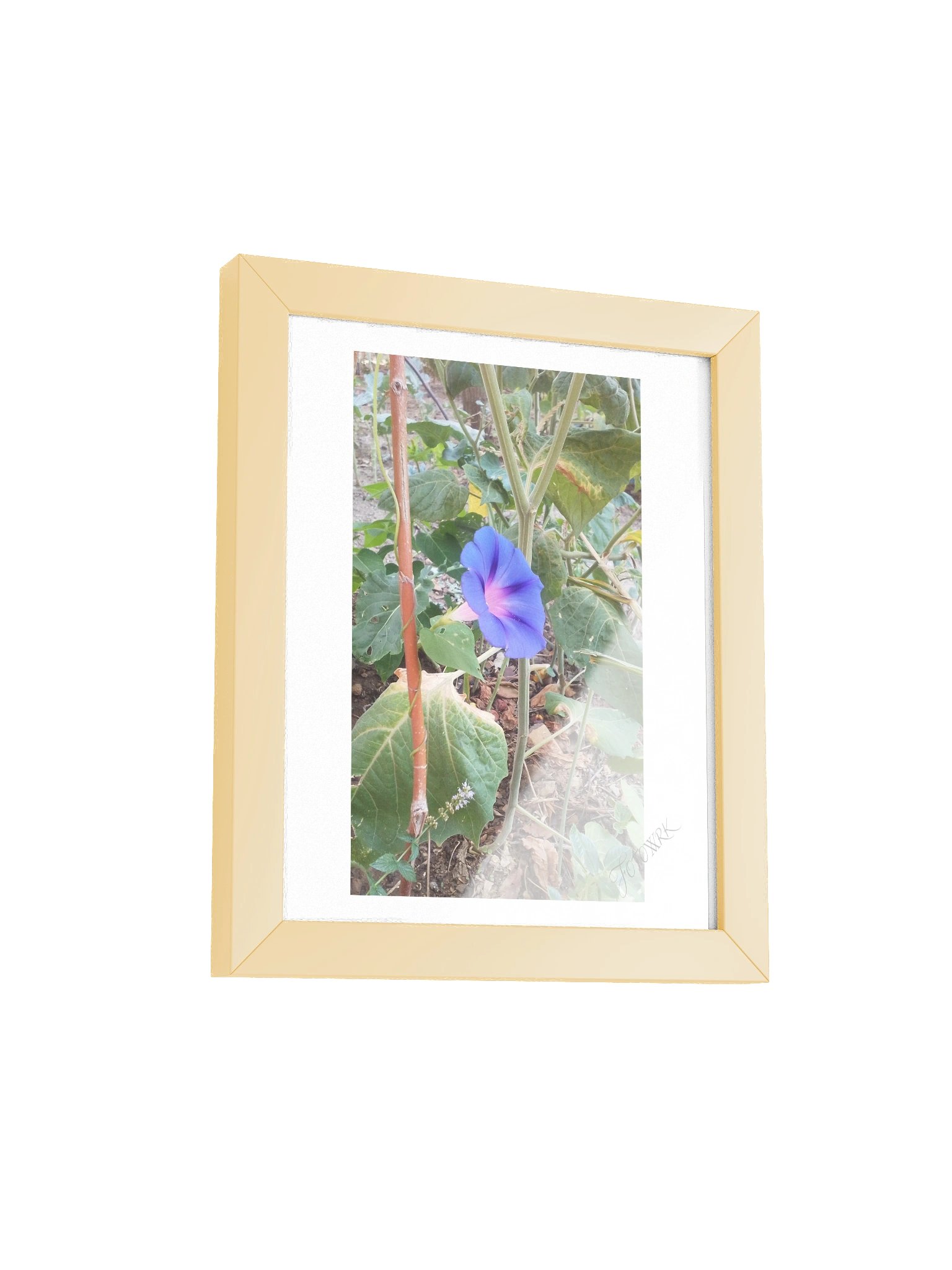Glory - Fine Art Botanical Matte Poster product image (18)